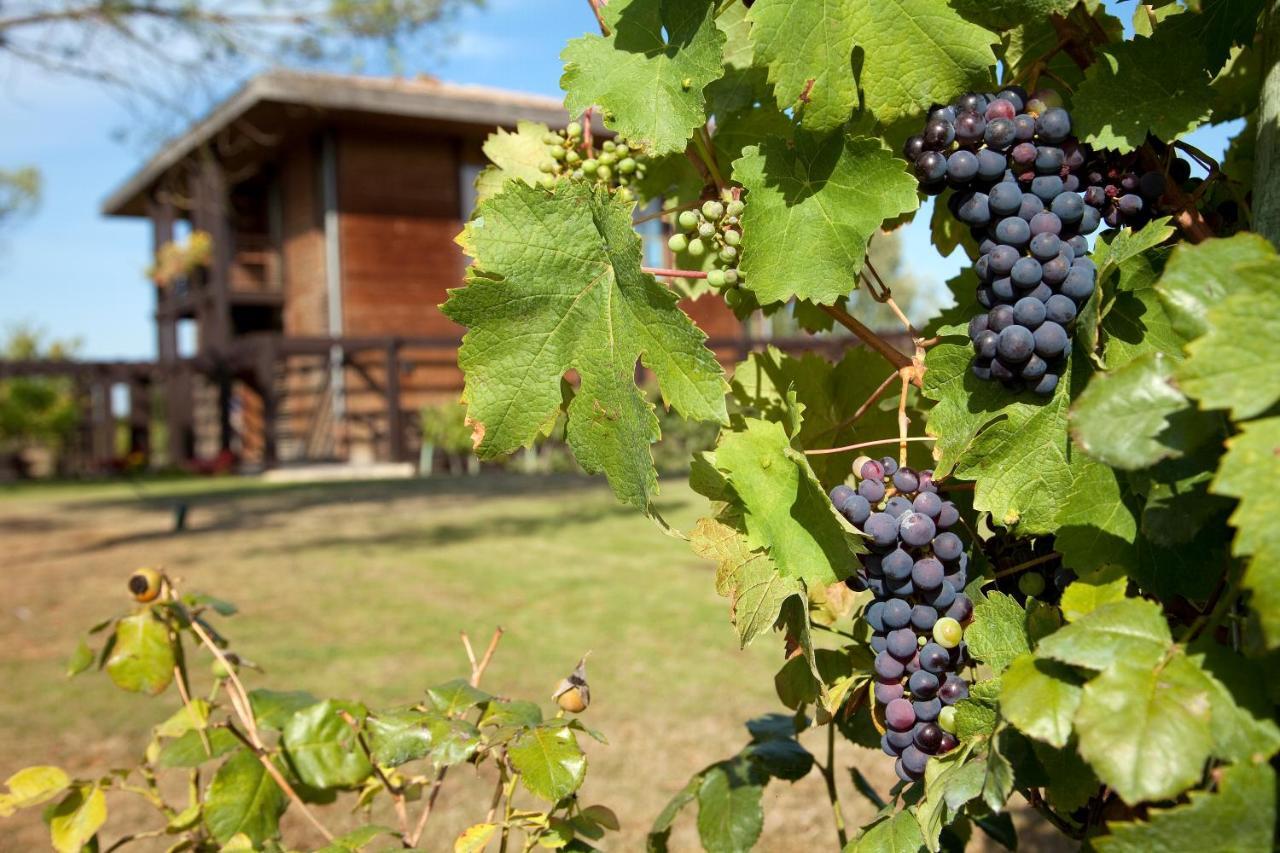 Residence Les Vignes Жонзак Номер фото